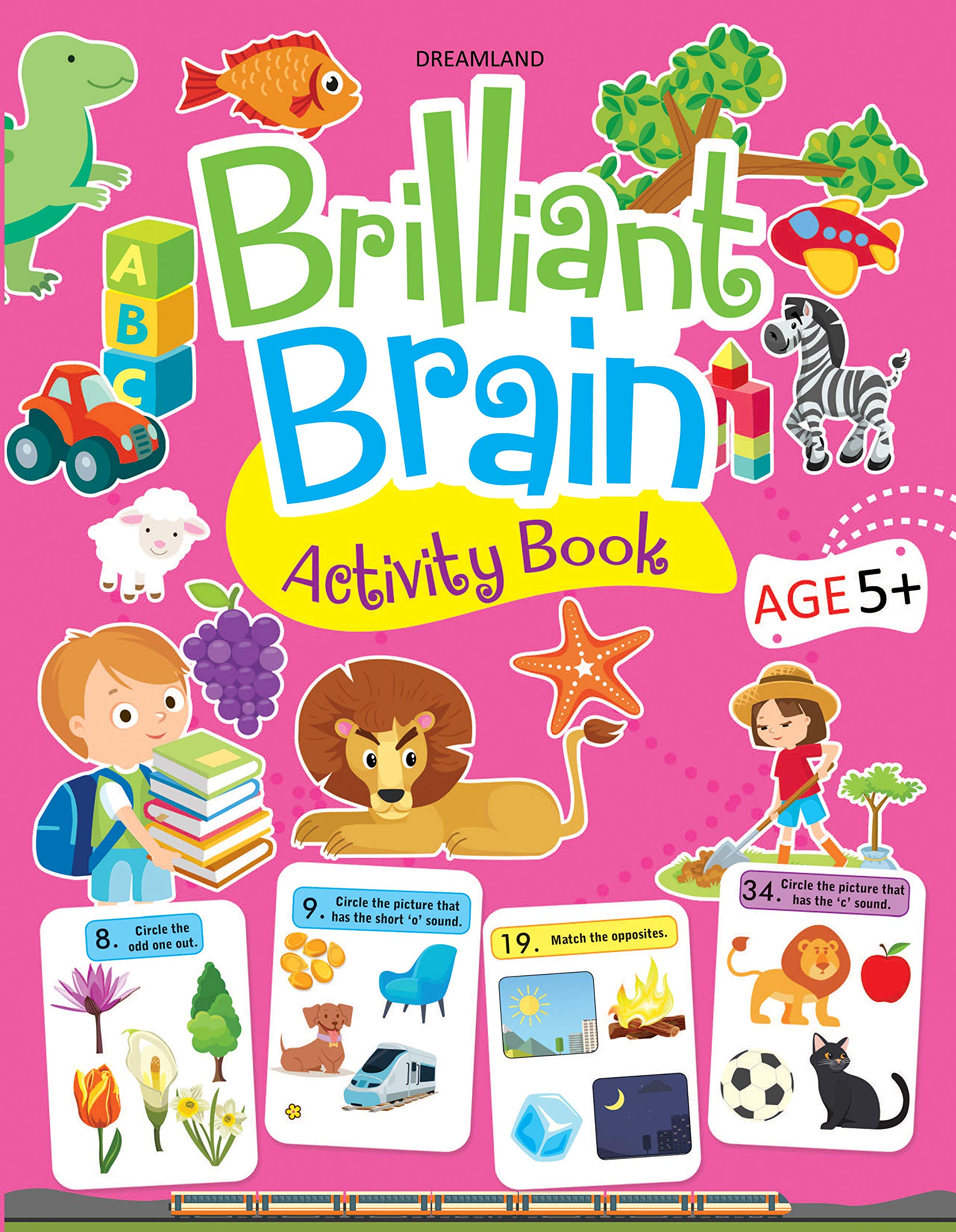 Brilliant Brain Activity Book (Age 5+) book cover