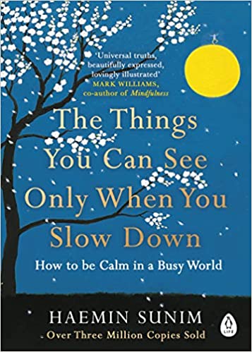 The Things You Can See Only When You Slow Down: How to be Calm in a Busy World book cover